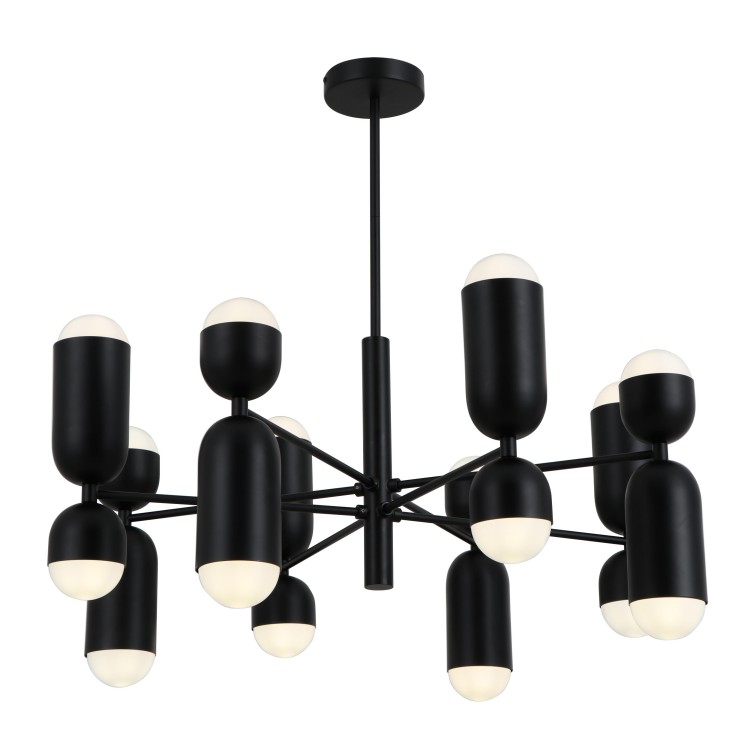 Black Metal Arms 16-Bulbs Wiselant Lights