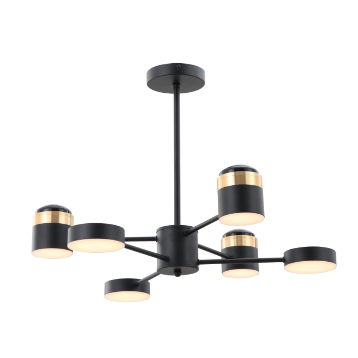 Matowa czarna lampa sufitowa LED o wysokim napięciu